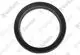 VAILLANT-Dichtung-PWT-Abgassammler-VAS-106-3-u-w-Vaillant-Nr-981306 gallery number 1